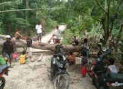Motor Hancur Dihantam Pohon Tumbang, Tari Lolos Dari Maut