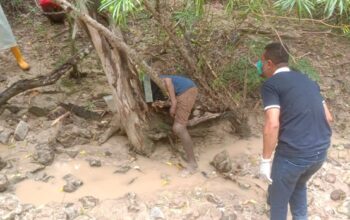 Pria 53 Tahun Di TTS Ditemukan Tak Bernyawa, Terjepit di Cabang Pohon