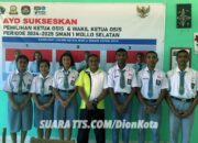 Siswa dan Guru SMA Negeri 1 Mollo Selatan Salurkan Hak Suara Dalam Pemilihan Ketua OSIS