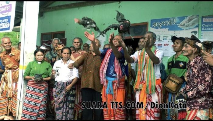 Lestarikan Alam, Lembaga Adat dan Dua Desa Di Kab TTS Gelar Ritual Adat Larangan “Banu”