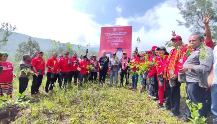 Rayakan HUT Ke-52 PDI Perjuangan, DPD PDI Perjuangan NTT Tanam Aneka Bibit Buah Di Fatumnasi dan Bagi Paket Sembako