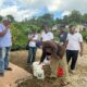 Satpol PP NTT Gandeng Pegiat Inovasi Asal TTS Atasi Pencemaran Limbah Ternak di Kota Kupang