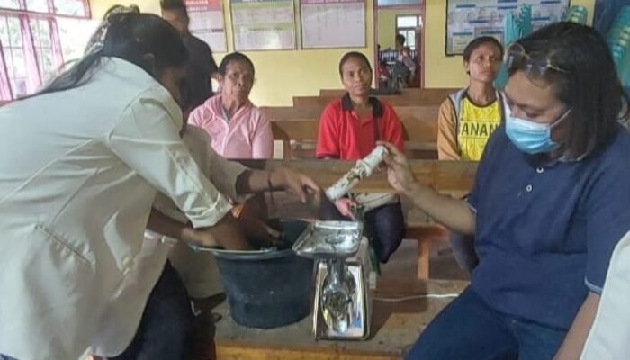 Dosen dan Mahasiswa IPS Olah Bekicot Jadi Pakan Ternak Bernutrisi Tinggi 