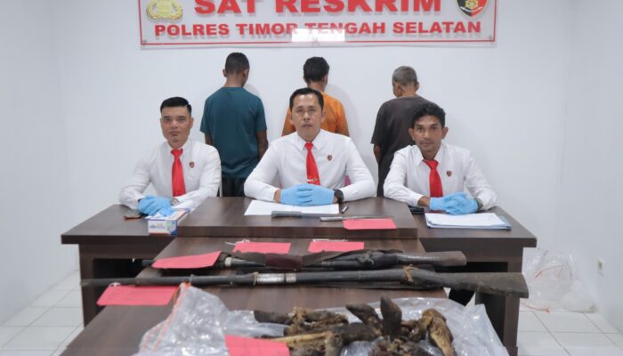 Polisi Ungkap Pencurian Sapi di TTS, Pelaku Gunakan Dua Senpi Rakitan
