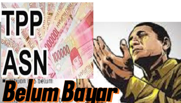 TPP ASN Di Kab TTS Belum Dibayarkan, Alokasi Hanya 4 Bulan
