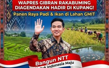 Wapres Gibran Dijadwalkan Hadir di Kupang, Pimpin Panen Raya di Lahan GMIT