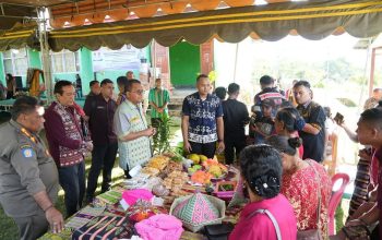 Jagung Nobi-Nobi Naik Kelas, Dari Murah Jadi Cuan