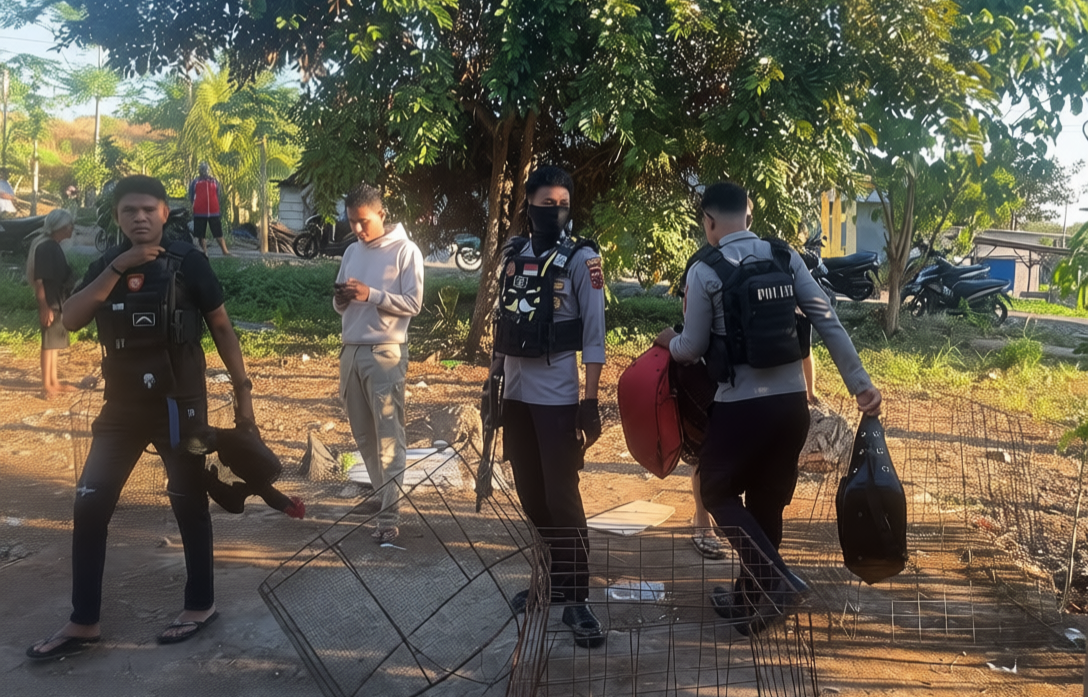 Sat Samapta Polresta Kupang Kota Bubarkan Judi Sabung Ayam di Fatukoa