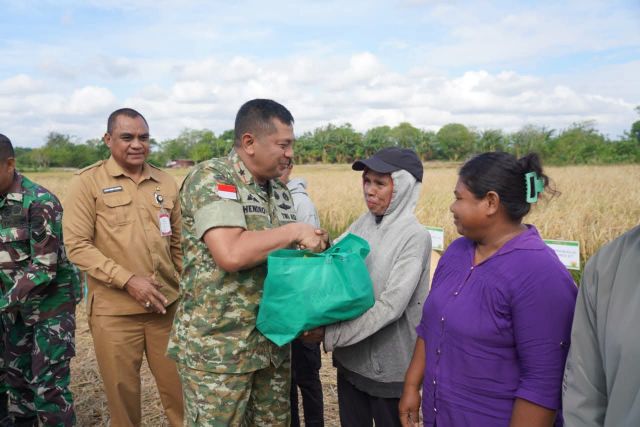 Danrem 161 Pimpin Panen Raya, Perkuat Ketahanan Pangan di Kupang