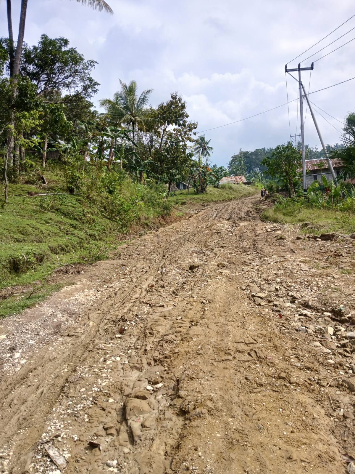 Ambulans atau Jalan? Menentukan Prioritas Pembangunan Pelayanan Kesehatan di Kecamatan Santian
